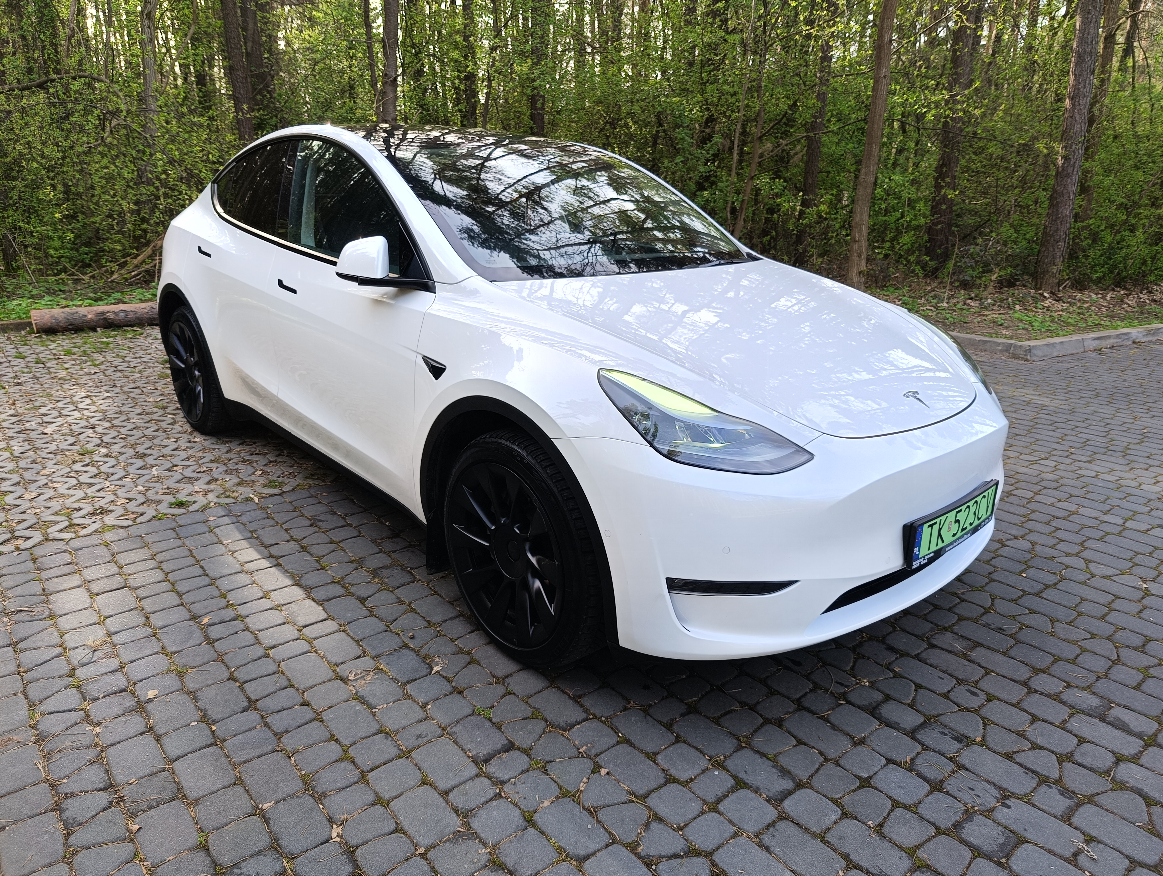 TESLA Y Long Range Dual Motor 169,900 zł. 